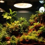 smart lighting for bioactive vivariums