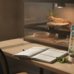 A tidy exotic pet care planner beside a secure habitat during a seasonal routine change