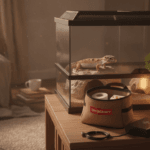 Emergency power outage supplies beside a secure terrarium for an exotic pet